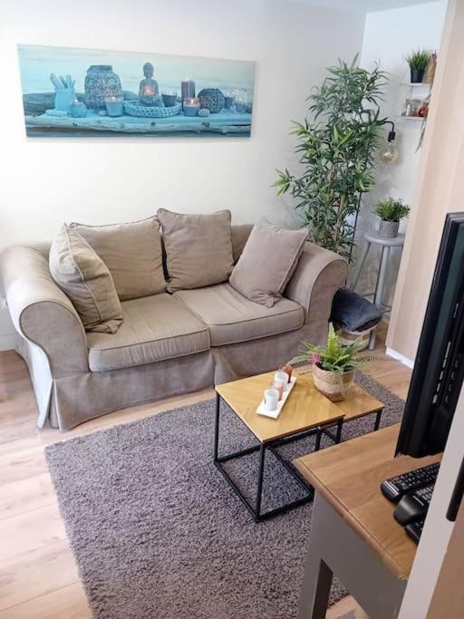 Le Cocon Cosy Proche Gare Apartment *
