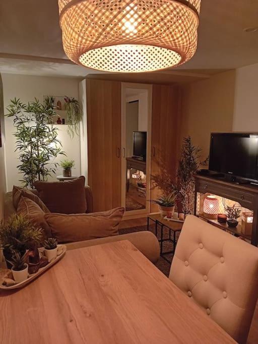 Le Cocon Cosy Proche Gare Apartment *