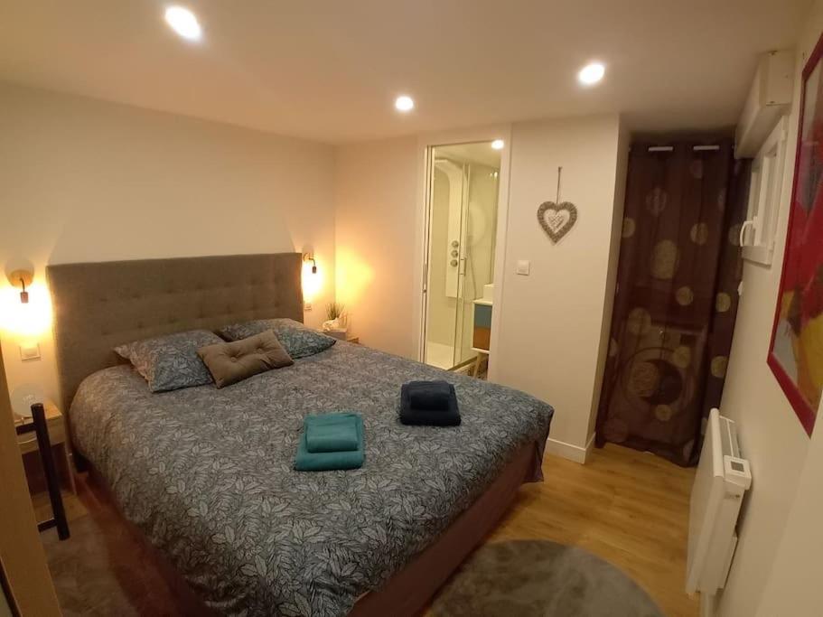 Le Cocon Cosy Proche Gare Apartment *